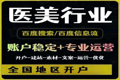 SEM运营公司经典案例点评